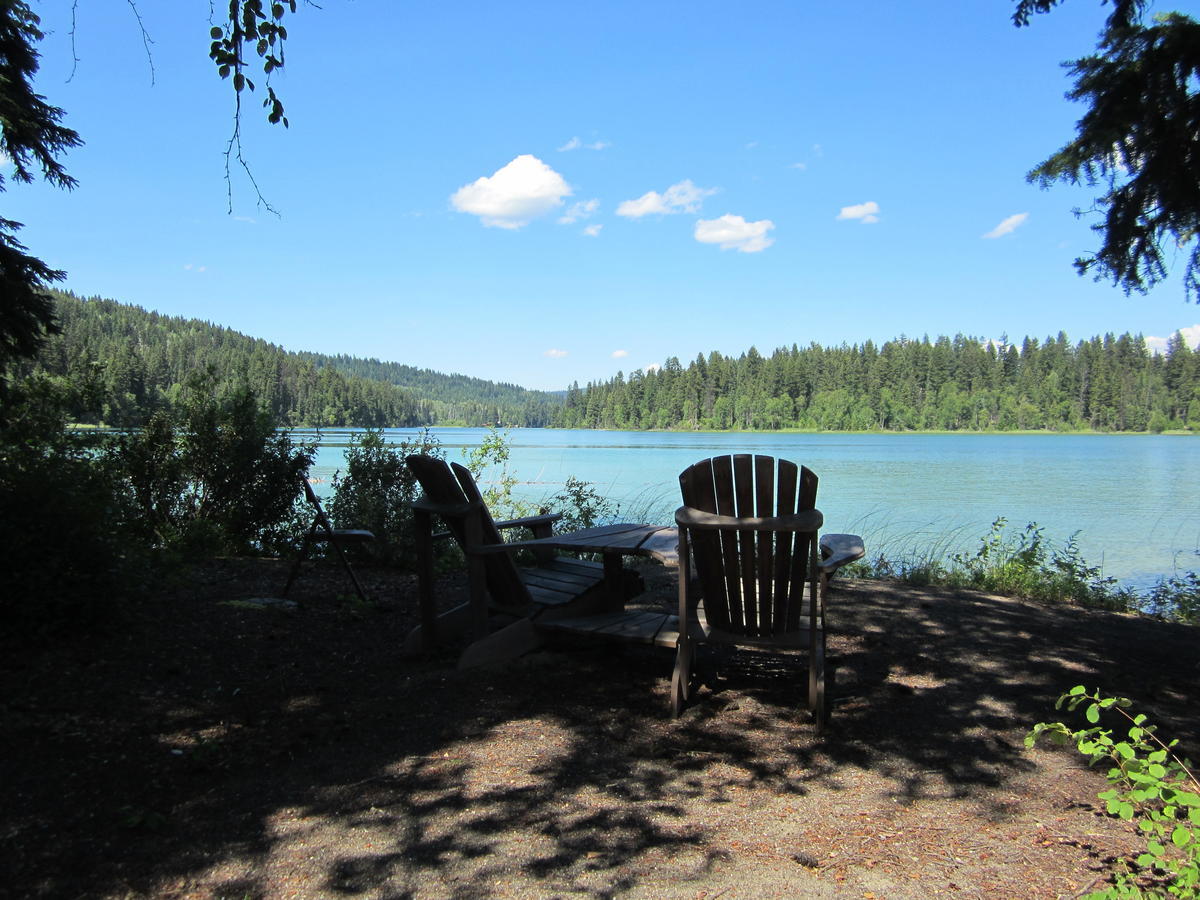 Ruth Lake Lodge Resort Forest Grove Exterior photo